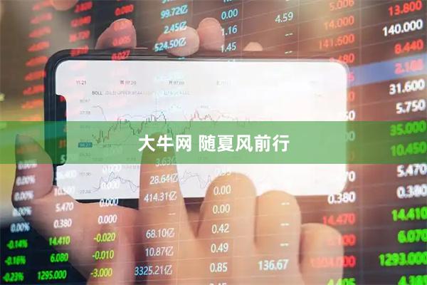 大牛网 随夏风前行