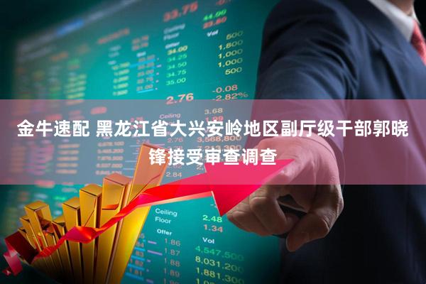 金牛速配 黑龙江省大兴安岭地区副厅级干部郭晓锋接受审查调查