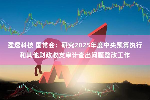 盈透科技 国常会：研究2025年度中央预算执行和其他财政收支审计查出问题整改工作