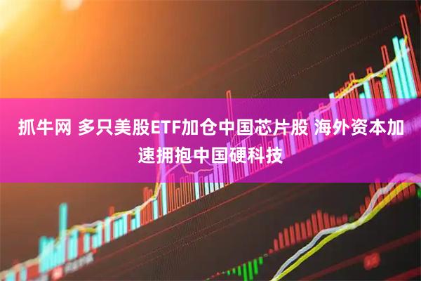 抓牛网 多只美股ETF加仓中国芯片股 海外资本加速拥抱中国硬科技